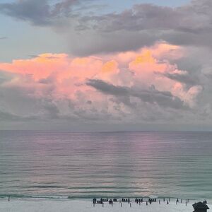 Meet your Posher, Terry